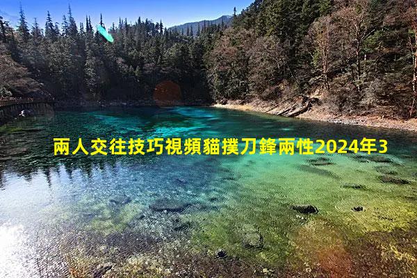 兩人交往技巧視頻貓撲刀鋒兩性2024年3月28日