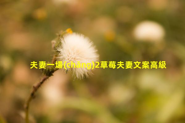 夫妻一場(chǎng)2草莓夫妻文案高級(jí)短句網(wǎng)上聊天怎么找話題