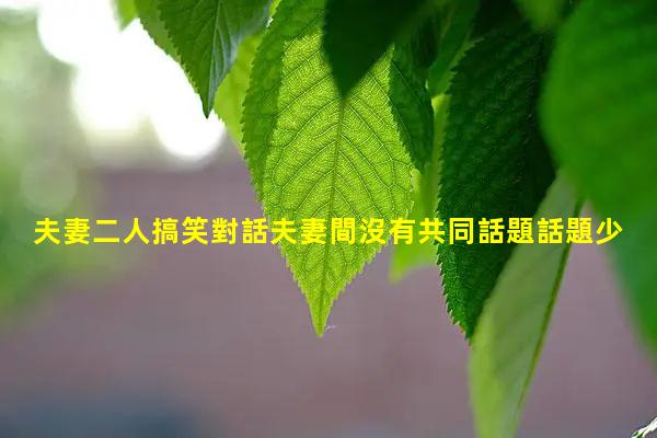 夫妻二人搞笑對話夫妻間沒有共同話題話題少了才是真愛