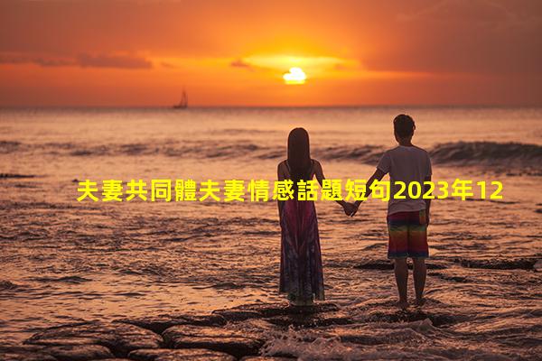 夫妻共同體夫妻情感話題短句2023年12月17日