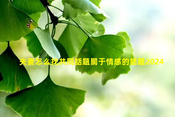 夫妻怎么找共同話題關于情感的話題2024年11月16日熱門話題英文