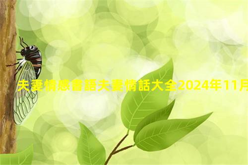 夫妻情感書語夫妻情話大全2024年11月13日