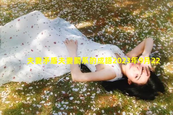 夫妻矛盾夫妻關系的成語2023年9月22日