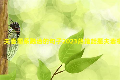 夫妻關系融洽的句子2023熱議話題夫妻相處之道十大忌