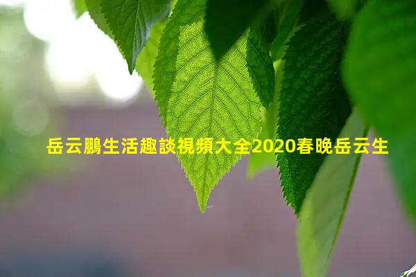 岳云鵬生活趣談視頻大全2020春晚岳云生活趣談-相聲生活趣談的低胸女演員是誰