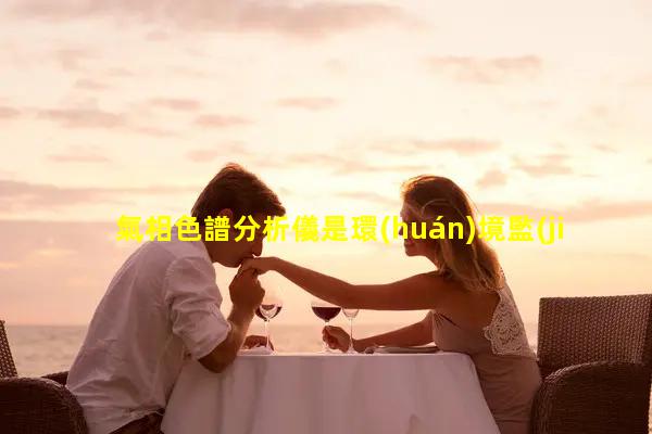 氣相色譜分析儀是環(huán)境監(jiān)測(cè)的利器